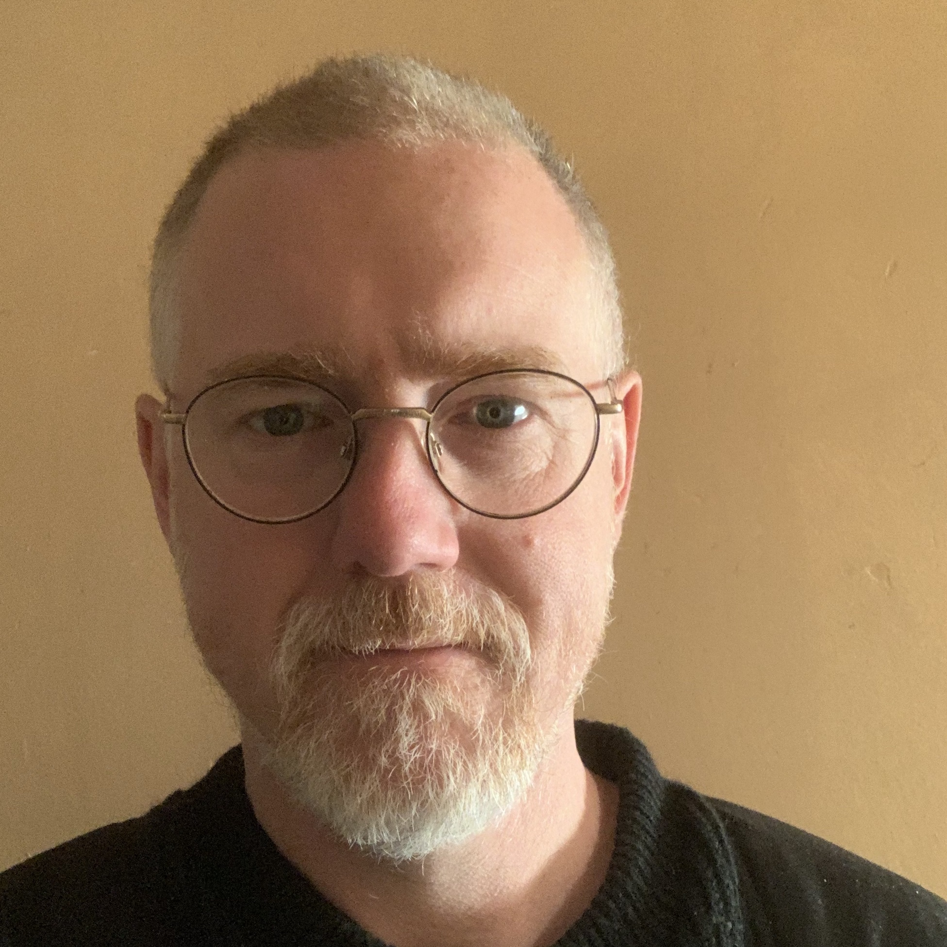 Portrait of Tobias Stål